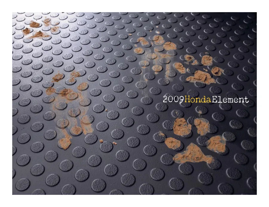2009 Honda Element Brochure, page 1