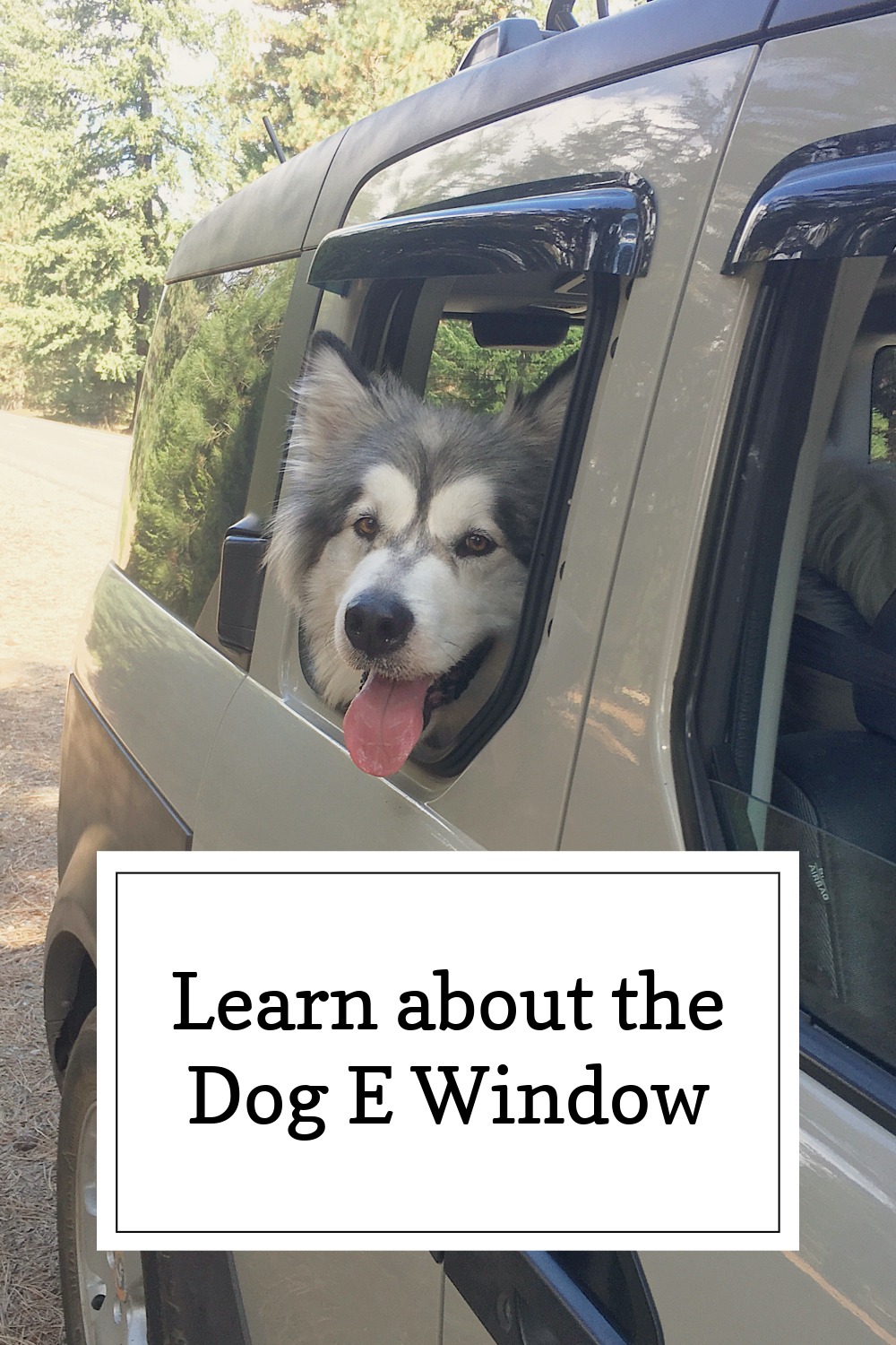 Dog E Windows Pin