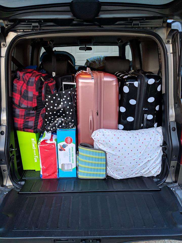 Honda Element Interior packing for a road trip vacation suitcase bags like tetris fits inside the Cargo Area 2