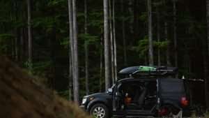 toaster element forest black roofbox roof rack suicide doors open woods outdoors outdoorlife microcamper travelvan campervan vanlife