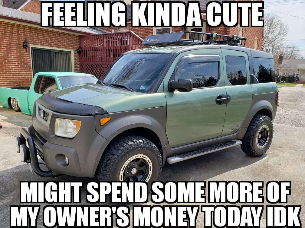 feeling cute honda element meme